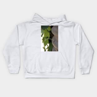 Leaking -  Adelaide Hills - Fleurieu Peninsula by South Australian artist Avril Thomas Kids Hoodie